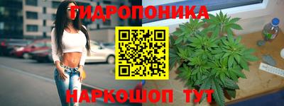 прущая мука Лесосибирск