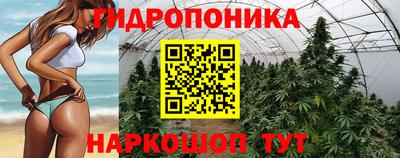 прущая мука Лесосибирск