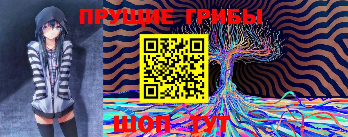 Галлюциногенные грибы GOLDEN TEACHER Ейск